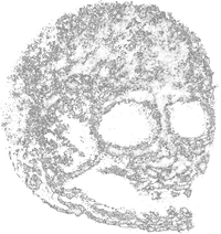 Digitally drawn black and white skull
